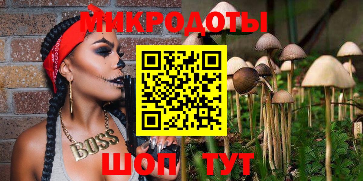 Псилоцибиновые грибы Psilocybe Анжеро-Судженск